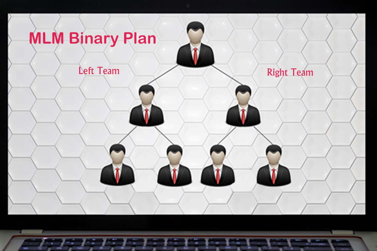 mlm-binary-plan