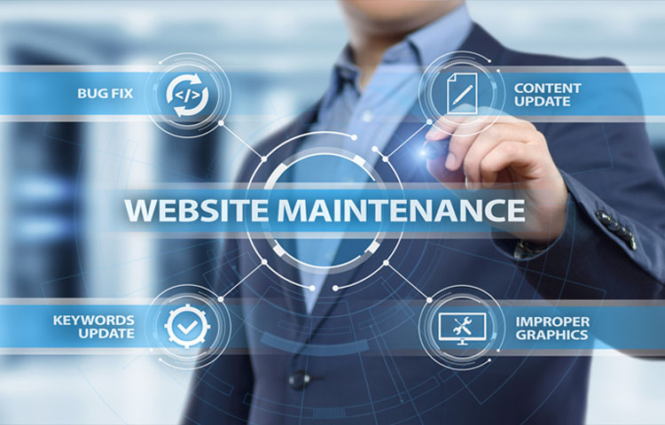 MLM_Software Software_Maintenance_and_Updates | MLM_Investment_Plan | MLM_Software