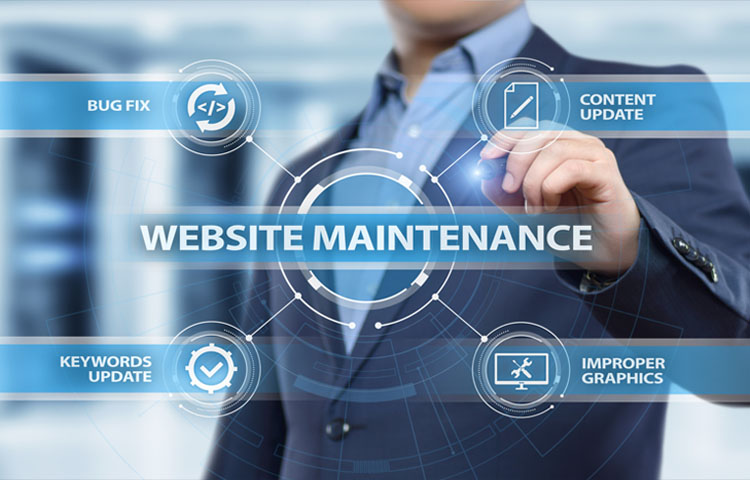 Software_Maintenance_and_Updates | MLM_Investment_Plan | MLM_Software