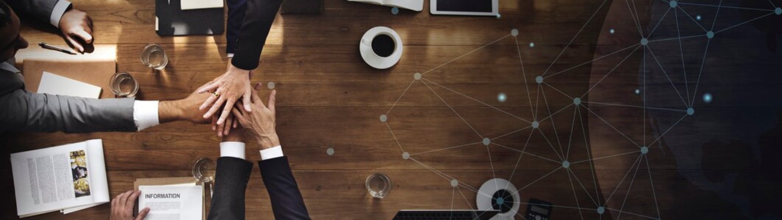 MLM board Plan Software development services in India